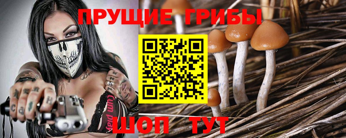 Псилоцибиновые грибы MAGIC MUSHROOMS Ангарск